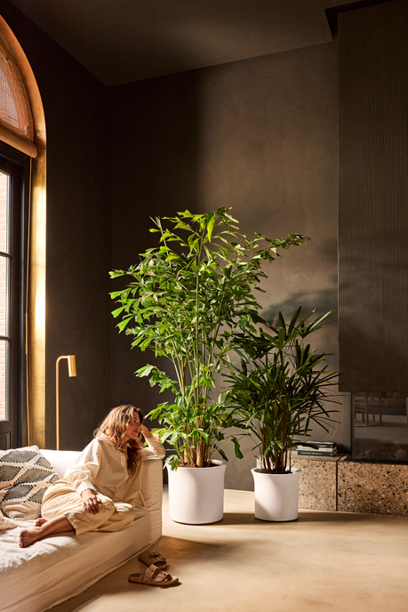 june tulip 47cm linnen wit